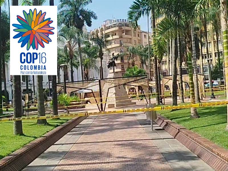 UN VISTAZO A LA PREVIA EN LA COP 16, CALI SE ENGALANA.